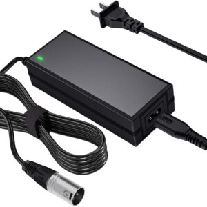 Scooter Charger